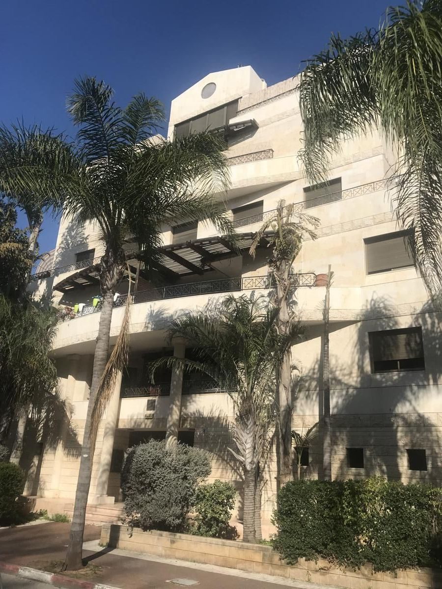 הבעל שם טוב רחובות